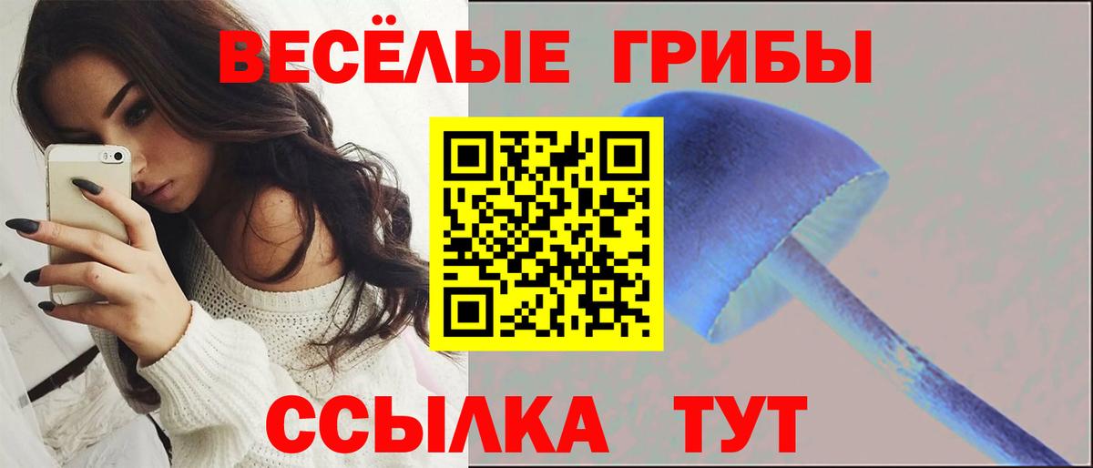 Галлюциногенные грибы ЛСД Россошь